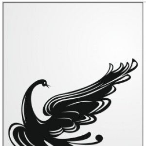A294
