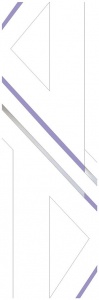 C310C