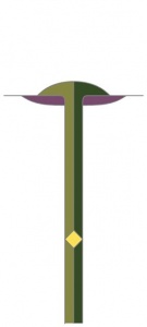 DV016