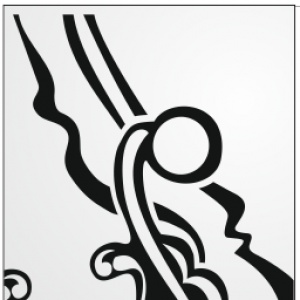 A255
