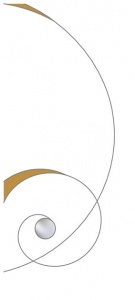 DV038