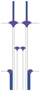 DV002