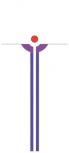 DV010