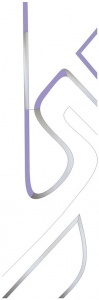 C310L