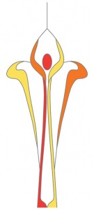 DV005